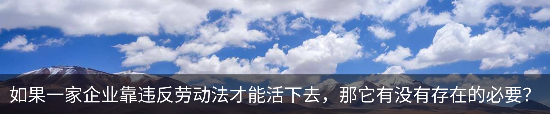 新闻动态